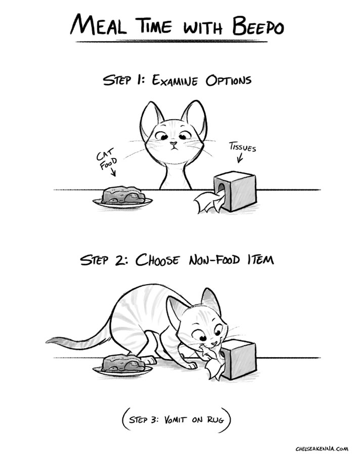 187 Hilarious Comics That Reveal The Reality Of Living With Cats