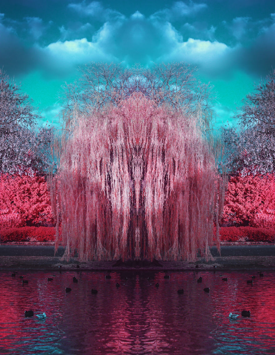 I See The World In Infrared