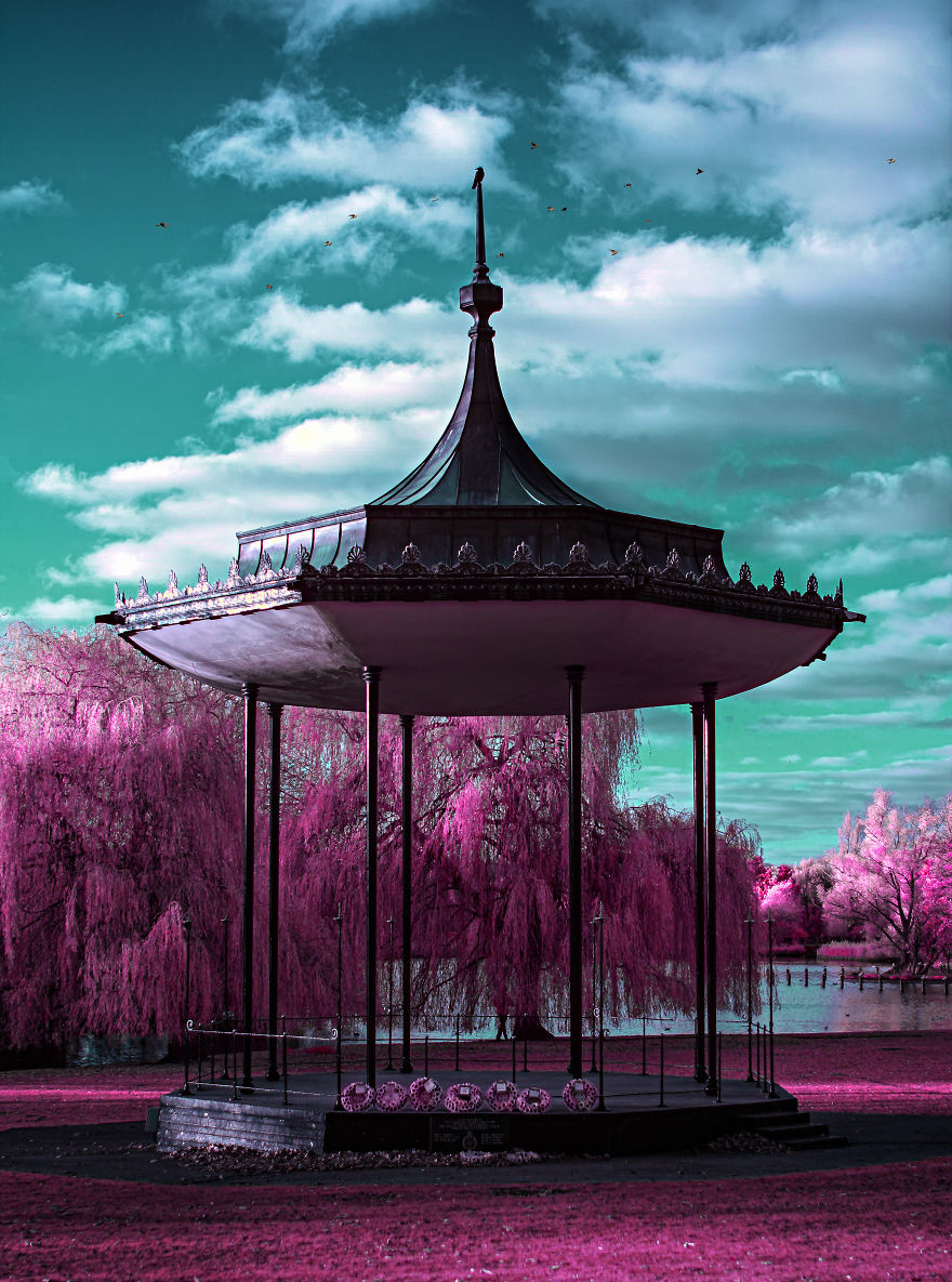 I See The World In Infrared