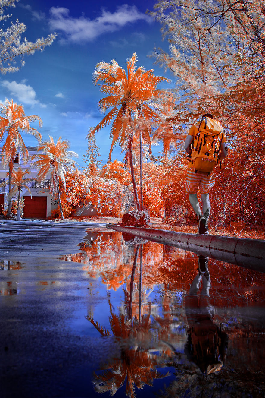 I See The World In Infrared