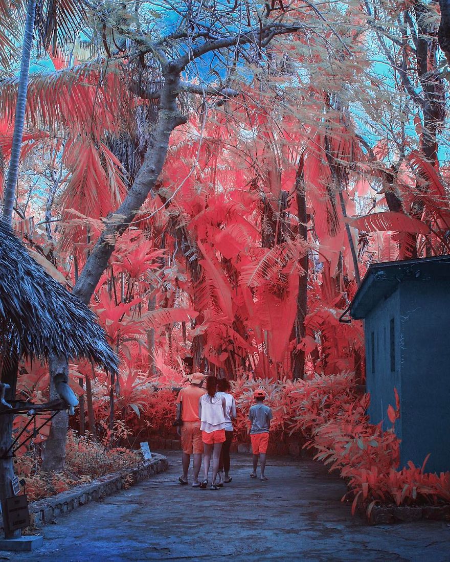 I See The World In Infrared