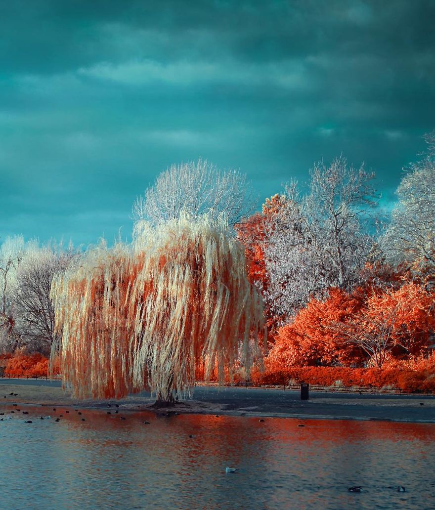 I See The World In Infrared