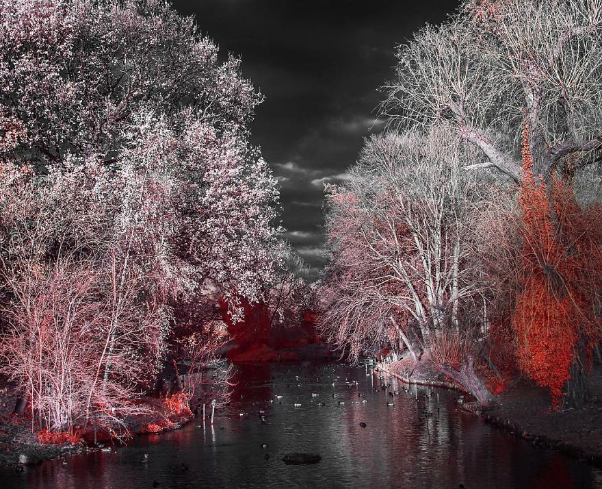 I See The World In Infrared