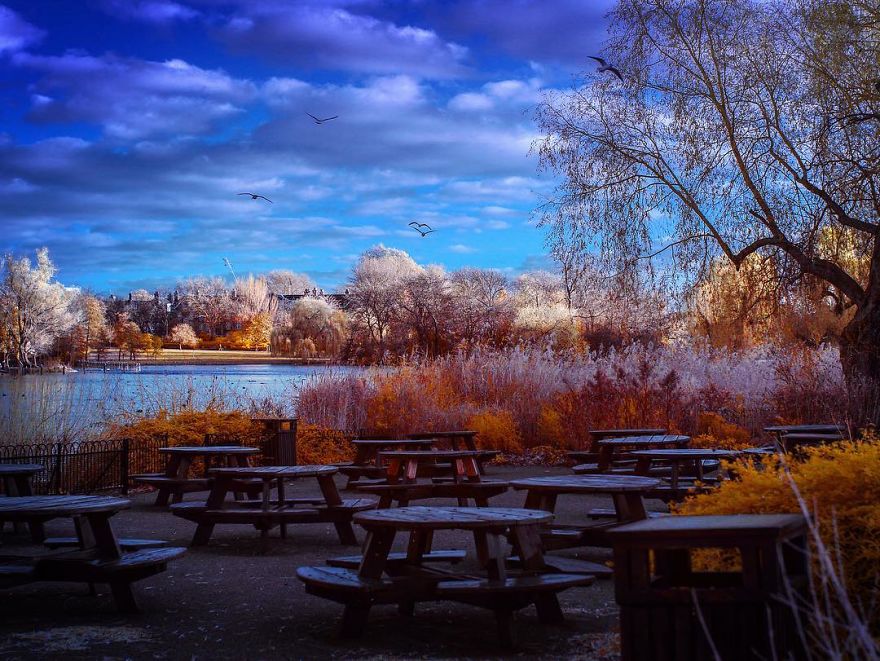 I See The World In Infrared