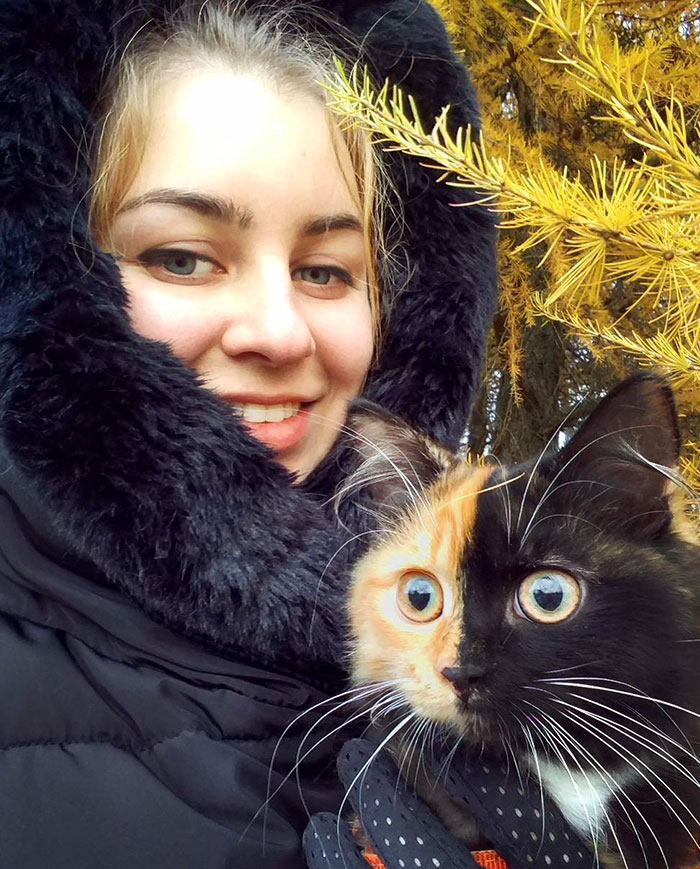 Meet Yana, The Two-Faced Kitty Whose Parents Ran Out Of Ink