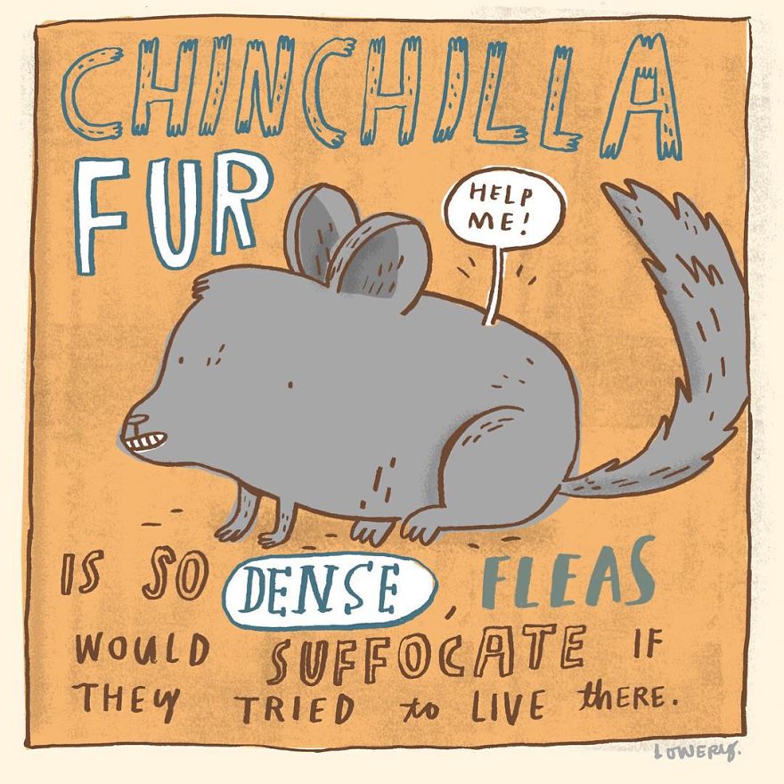 Every Morning I Illustrate Random Fun Facts Every Morning I Illustrate Random Fun Facts