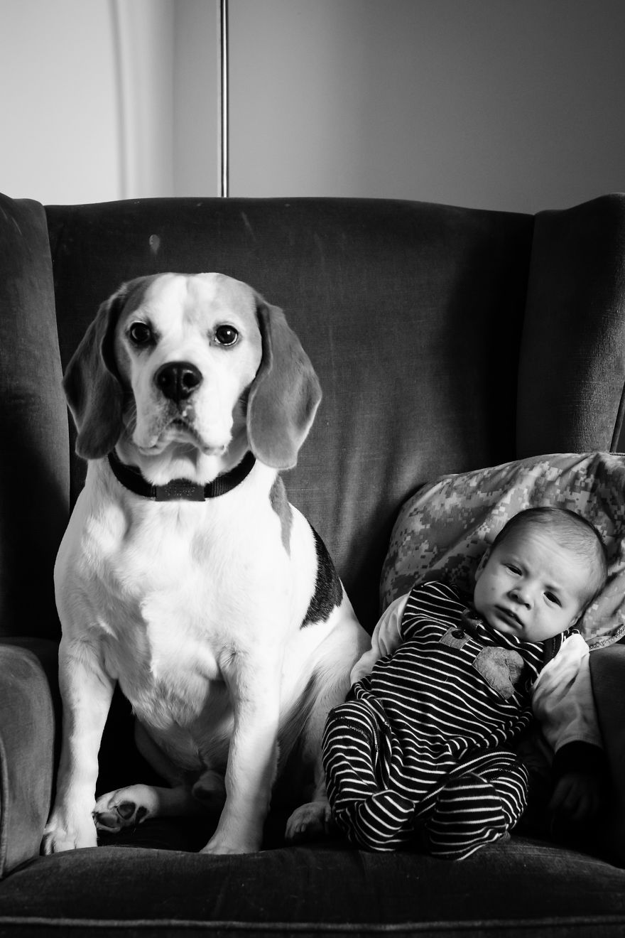 I’ve Taken A Picture Of My Son And Beagle Every Month For The Last Two Years In The Same Chair I’ve Taken A Picture Of My Son And Beagle Every Month For The Last Two Years In The Same Chair