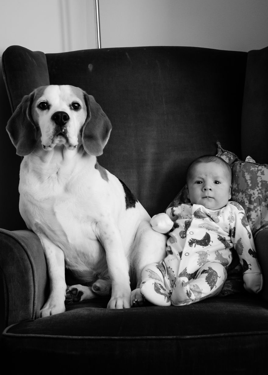 I’ve Taken A Picture Of My Son And Beagle Every Month For The Last Two Years In The Same Chair I’ve Taken A Picture Of My Son And Beagle Every Month For The Last Two Years In The Same Chair