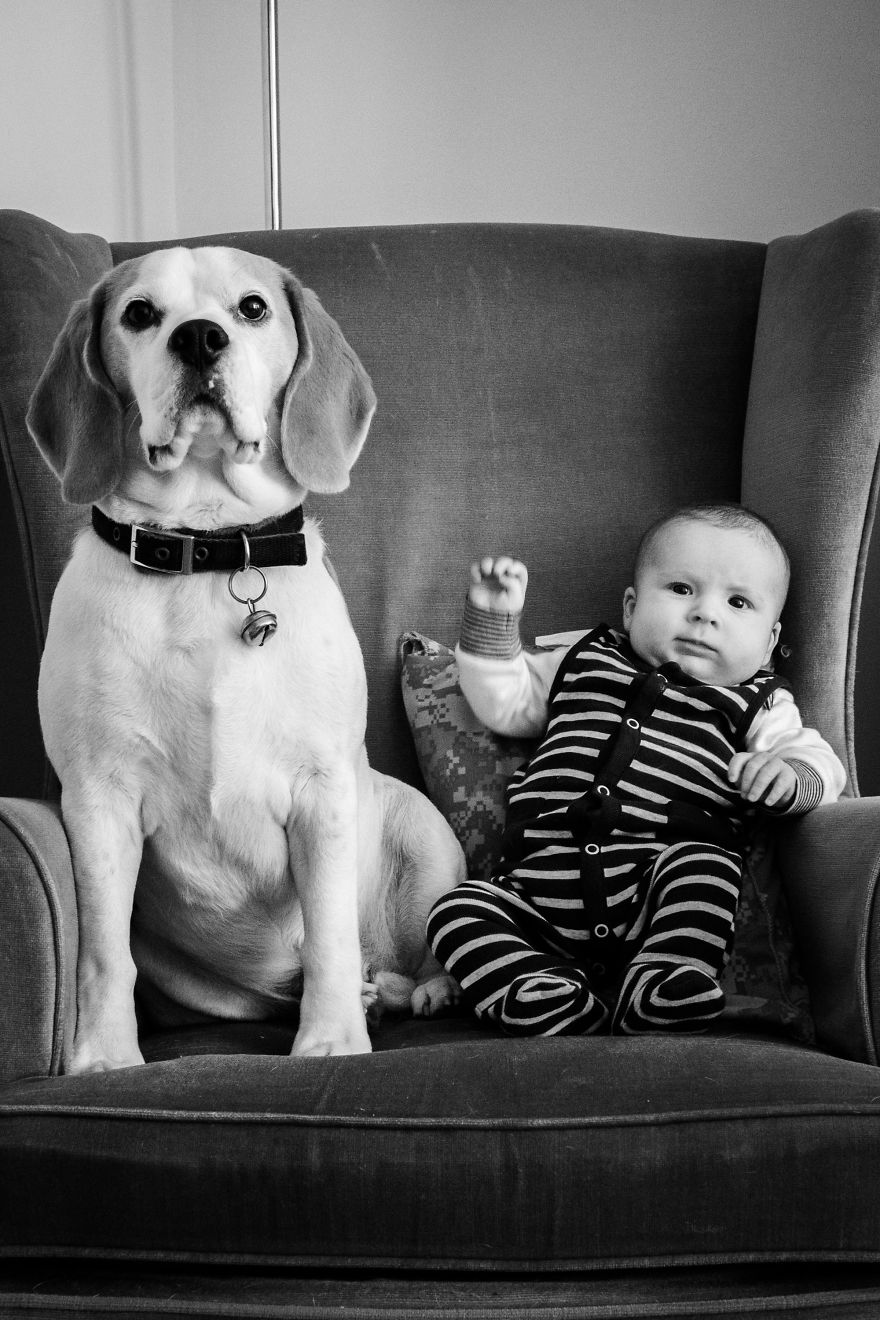 I’ve Taken A Picture Of My Son And Beagle Every Month For The Last Two Years In The Same Chair I’ve Taken A Picture Of My Son And Beagle Every Month For The Last Two Years In The Same Chair