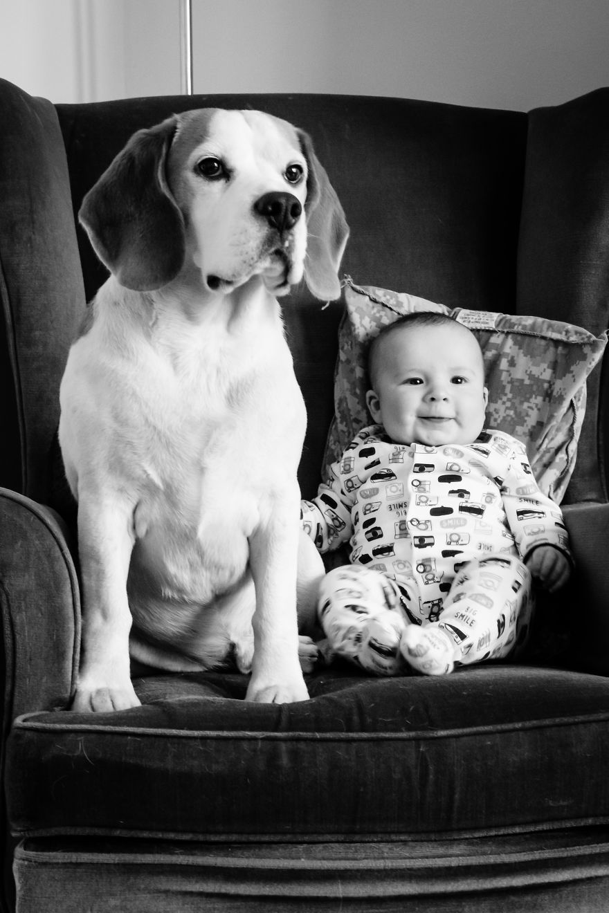 I’ve Taken A Picture Of My Son And Beagle Every Month For The Last Two Years In The Same Chair I’ve Taken A Picture Of My Son And Beagle Every Month For The Last Two Years In The Same Chair