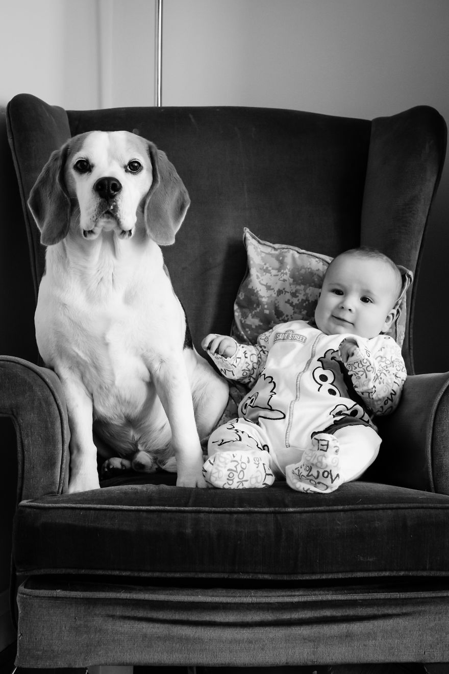 I’ve Taken A Picture Of My Son And Beagle Every Month For The Last Two Years In The Same Chair I’ve Taken A Picture Of My Son And Beagle Every Month For The Last Two Years In The Same Chair