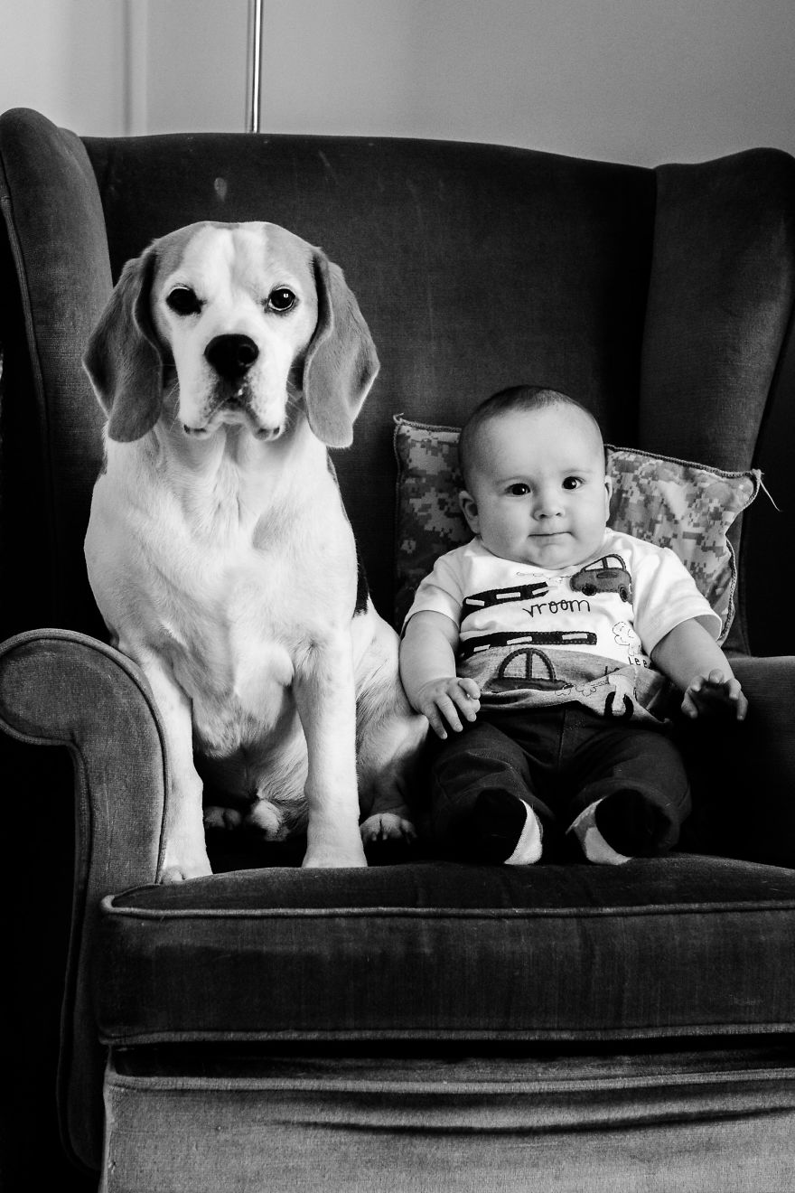 I’ve Taken A Picture Of My Son And Beagle Every Month For The Last Two Years In The Same Chair I’ve Taken A Picture Of My Son And Beagle Every Month For The Last Two Years In The Same Chair
