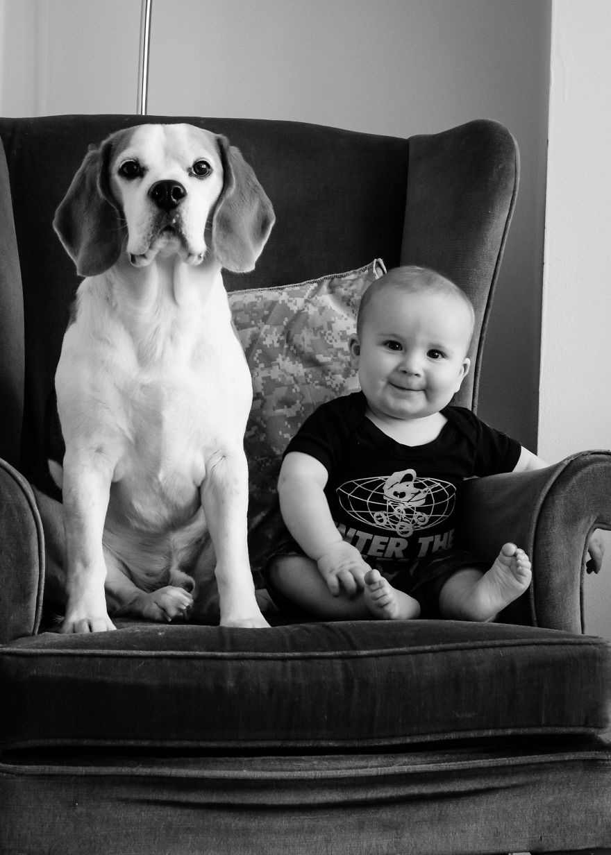 I’ve Taken A Picture Of My Son And Beagle Every Month For The Last Two Years In The Same Chair I’ve Taken A Picture Of My Son And Beagle Every Month For The Last Two Years In The Same Chair