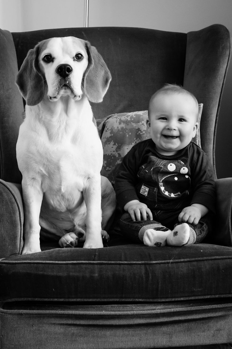 I’ve Taken A Picture Of My Son And Beagle Every Month For The Last Two Years In The Same Chair I’ve Taken A Picture Of My Son And Beagle Every Month For The Last Two Years In The Same Chair