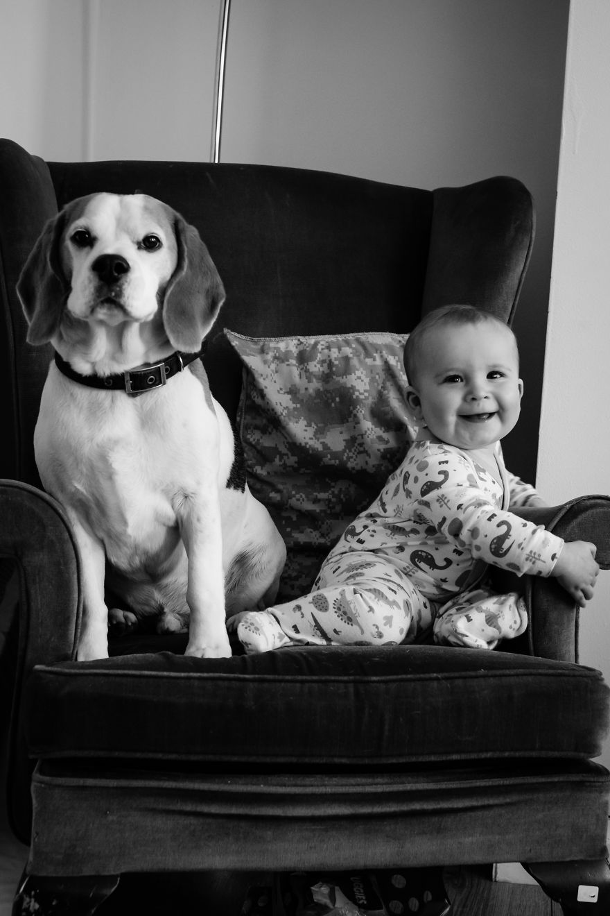 I’ve Taken A Picture Of My Son And Beagle Every Month For The Last Two Years In The Same Chair I’ve Taken A Picture Of My Son And Beagle Every Month For The Last Two Years In The Same Chair