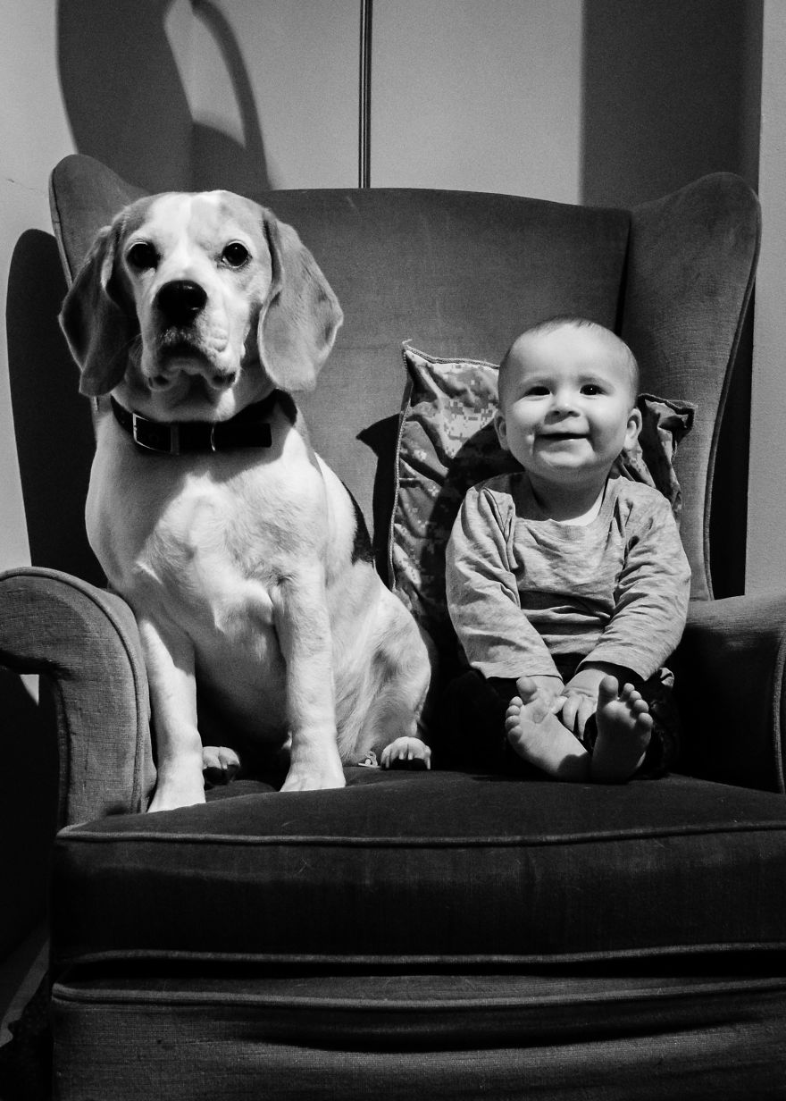 I’ve Taken A Picture Of My Son And Beagle Every Month For The Last Two Years In The Same Chair I’ve Taken A Picture Of My Son And Beagle Every Month For The Last Two Years In The Same Chair