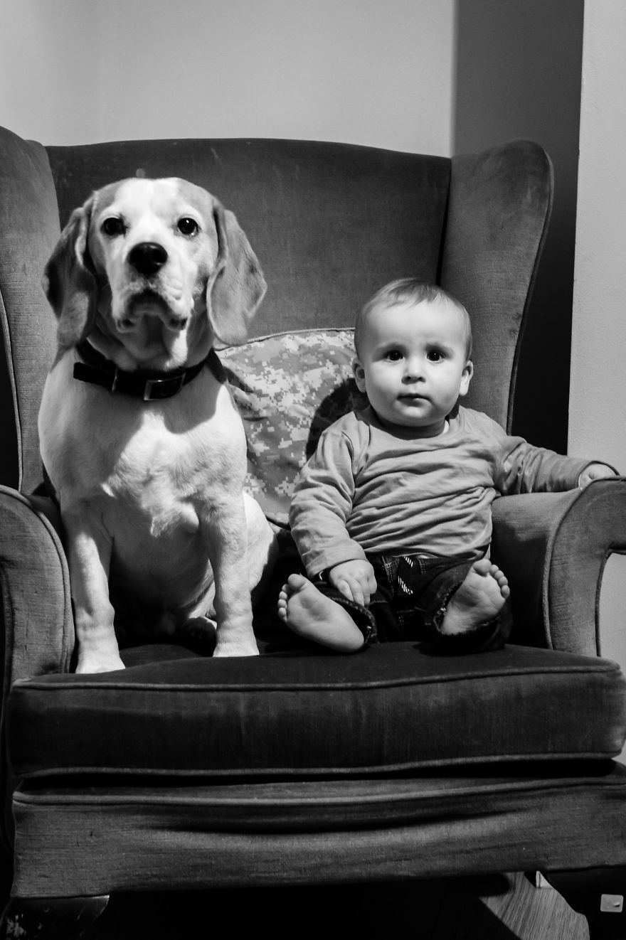 I’ve Taken A Picture Of My Son And Beagle Every Month For The Last Two Years In The Same Chair I’ve Taken A Picture Of My Son And Beagle Every Month For The Last Two Years In The Same Chair