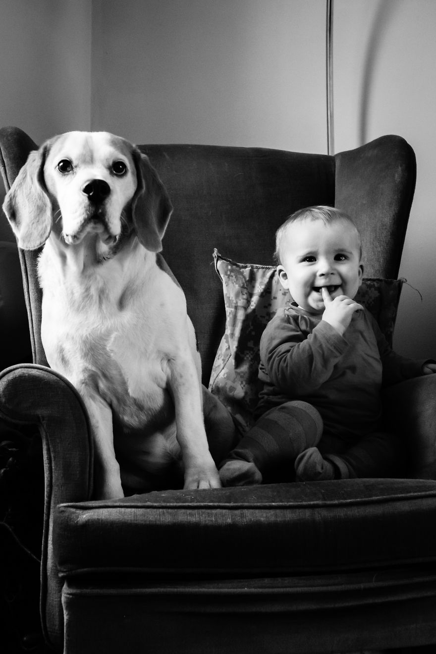 I’ve Taken A Picture Of My Son And Beagle Every Month For The Last Two Years In The Same Chair I’ve Taken A Picture Of My Son And Beagle Every Month For The Last Two Years In The Same Chair
