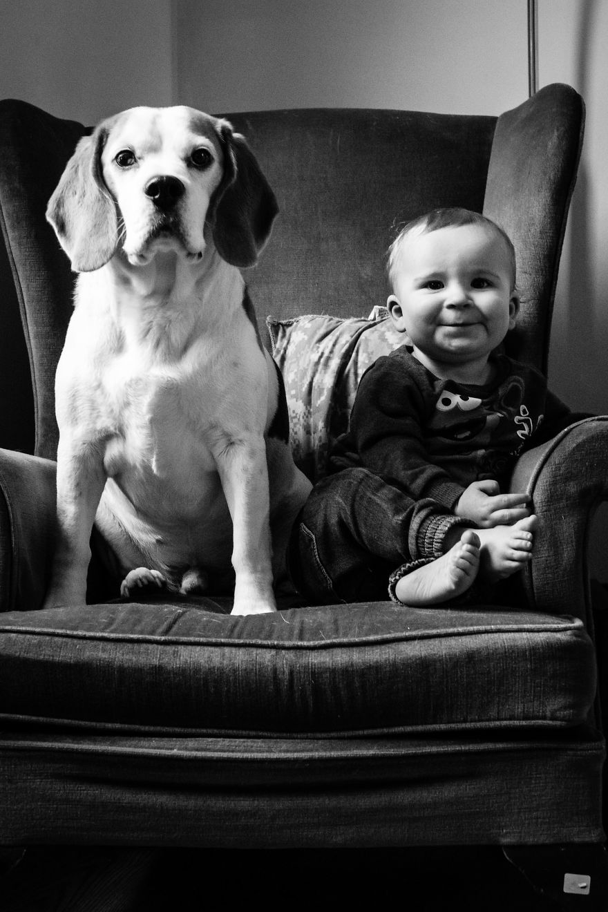 I’ve Taken A Picture Of My Son And Beagle Every Month For The Last Two Years In The Same Chair I’ve Taken A Picture Of My Son And Beagle Every Month For The Last Two Years In The Same Chair