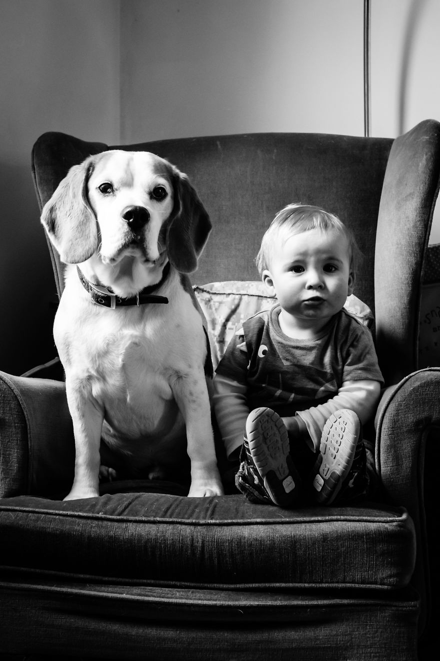 I’ve Taken A Picture Of My Son And Beagle Every Month For The Last Two Years In The Same Chair I’ve Taken A Picture Of My Son And Beagle Every Month For The Last Two Years In The Same Chair