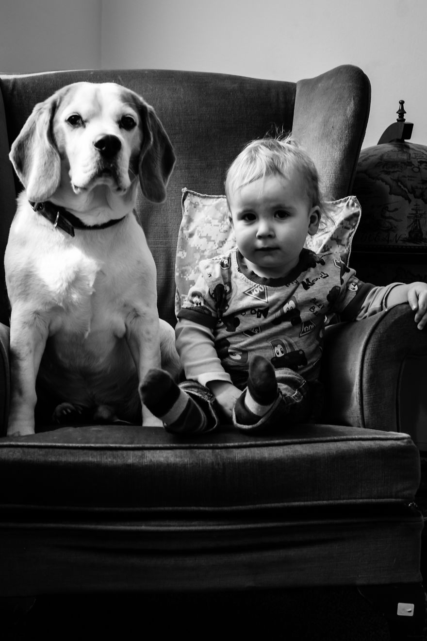 I’ve Taken A Picture Of My Son And Beagle Every Month For The Last Two Years In The Same Chair I’ve Taken A Picture Of My Son And Beagle Every Month For The Last Two Years In The Same Chair