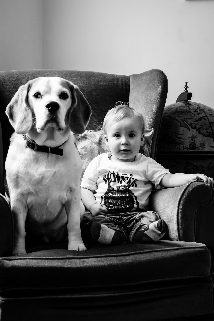 I’ve Taken A Picture Of My Son And Beagle Every Month For The Last Two Years In The Same Chair I’ve Taken A Picture Of My Son And Beagle Every Month For The Last Two Years In The Same Chair