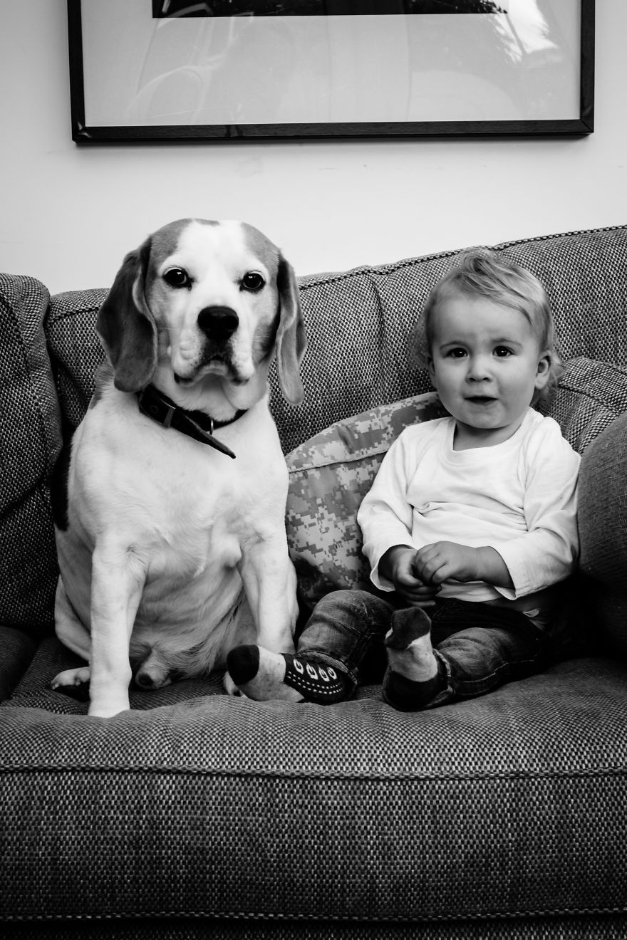 I’ve Taken A Picture Of My Son And Beagle Every Month For The Last Two Years In The Same Chair I’ve Taken A Picture Of My Son And Beagle Every Month For The Last Two Years In The Same Chair
