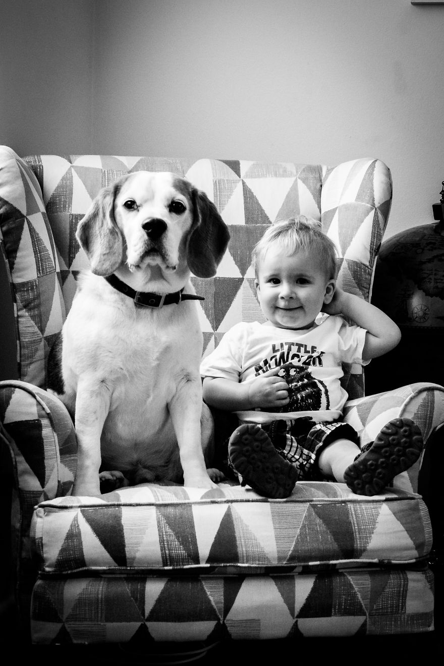 I’ve Taken A Picture Of My Son And Beagle Every Month For The Last Two Years In The Same Chair I’ve Taken A Picture Of My Son And Beagle Every Month For The Last Two Years In The Same Chair