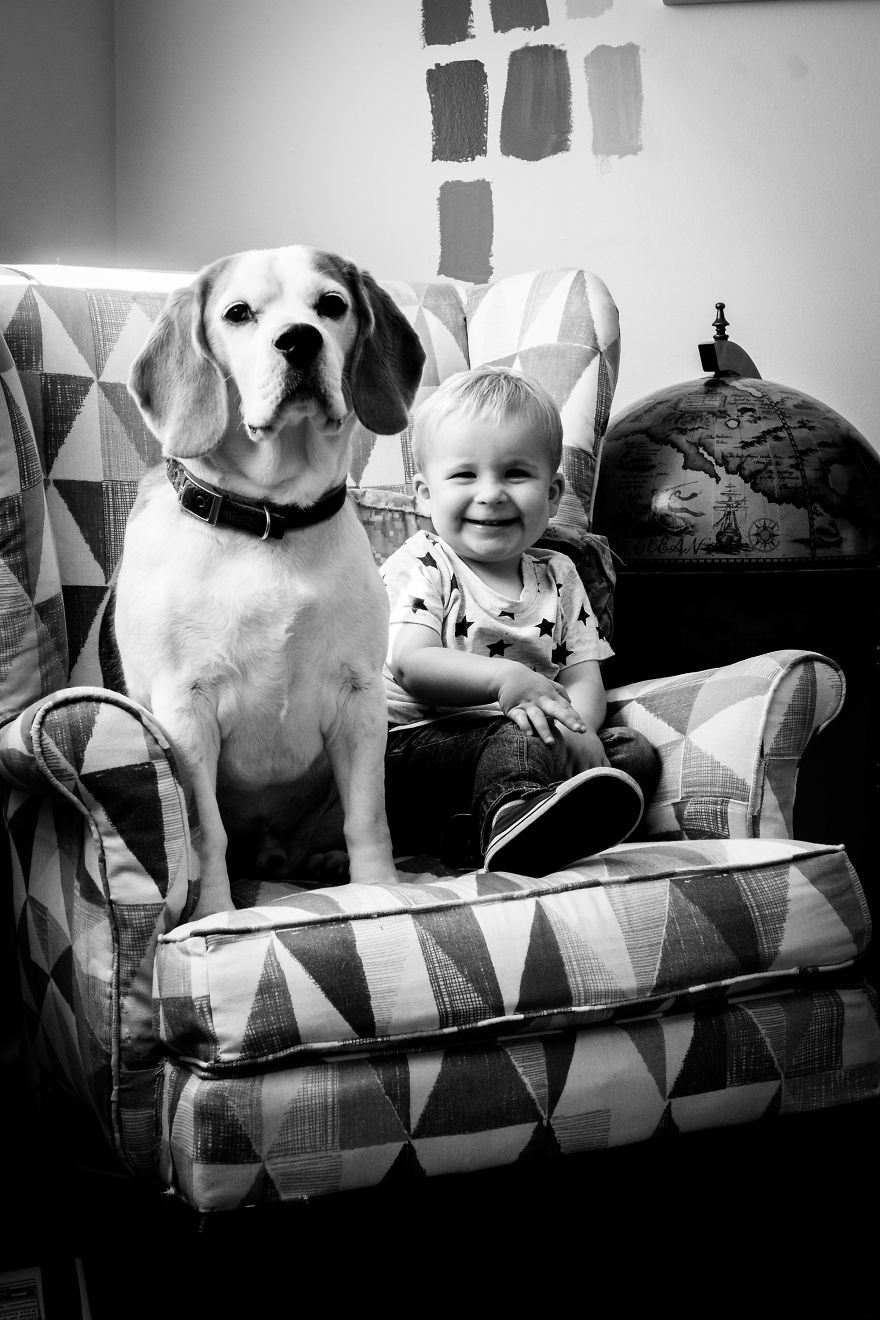 I’ve Taken A Picture Of My Son And Beagle Every Month For The Last Two Years In The Same Chair I’ve Taken A Picture Of My Son And Beagle Every Month For The Last Two Years In The Same Chair