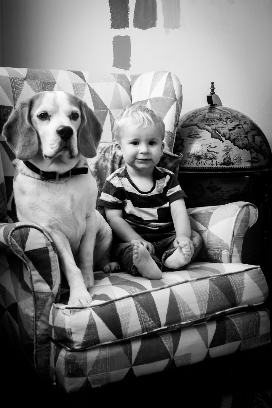 I’ve Taken A Picture Of My Son And Beagle Every Month For The Last Two Years In The Same Chair I’ve Taken A Picture Of My Son And Beagle Every Month For The Last Two Years In The Same Chair