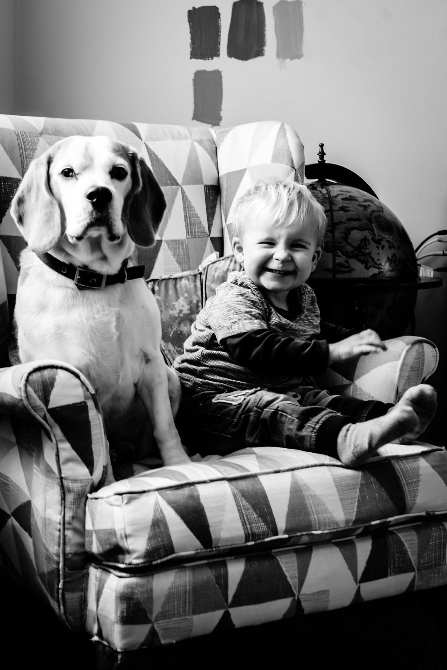 I’ve Taken A Picture Of My Son And Beagle Every Month For The Last Two Years In The Same Chair I’ve Taken A Picture Of My Son And Beagle Every Month For The Last Two Years In The Same Chair