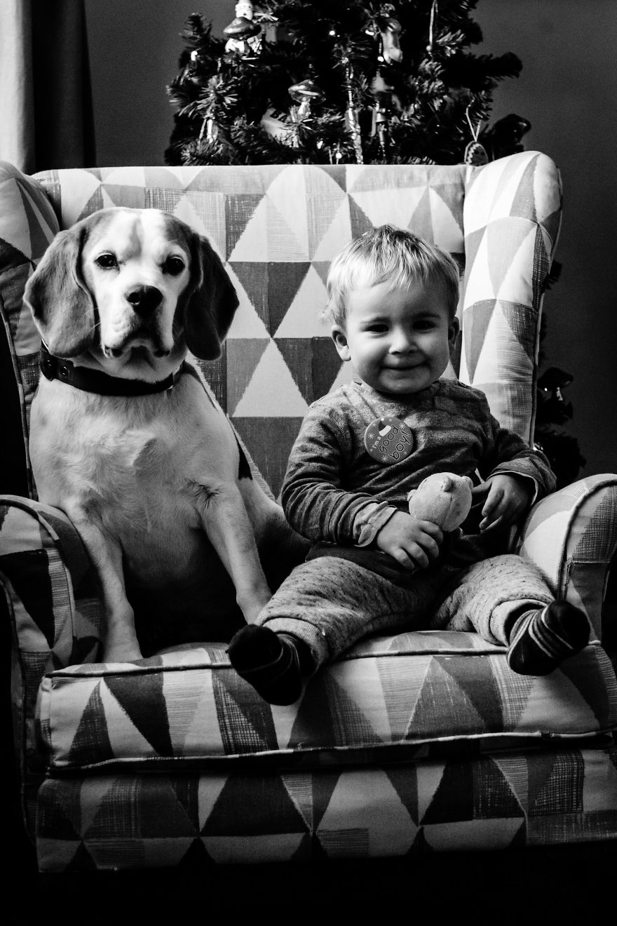 I’ve Taken A Picture Of My Son And Beagle Every Month For The Last Two Years In The Same Chair I’ve Taken A Picture Of My Son And Beagle Every Month For The Last Two Years In The Same Chair