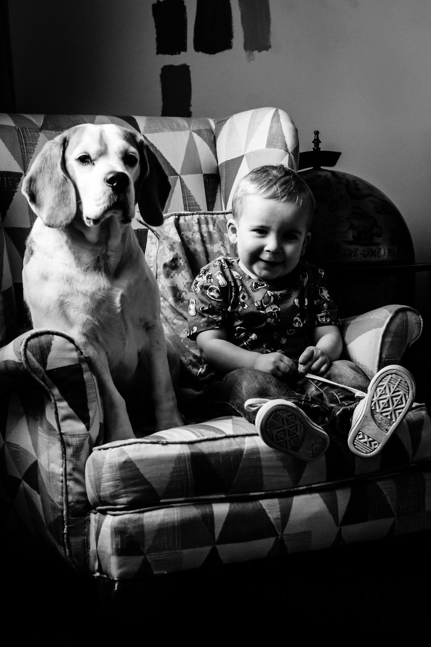 I’ve Taken A Picture Of My Son And Beagle Every Month For The Last Two Years In The Same Chair I’ve Taken A Picture Of My Son And Beagle Every Month For The Last Two Years In The Same Chair