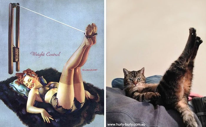 48 Cats Posing Like Pin Up Girls