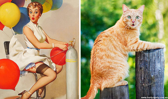 48 Cats Posing Like Pin Up Girls