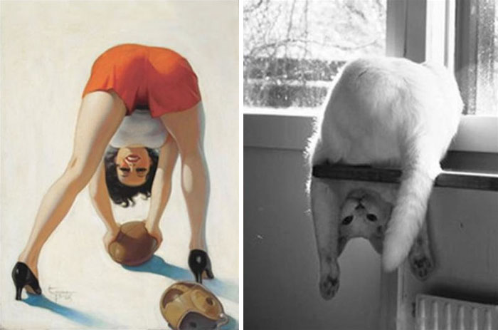 48 Cats Posing Like Pin Up Girls