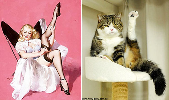 48 Cats Posing Like Pin Up Girls