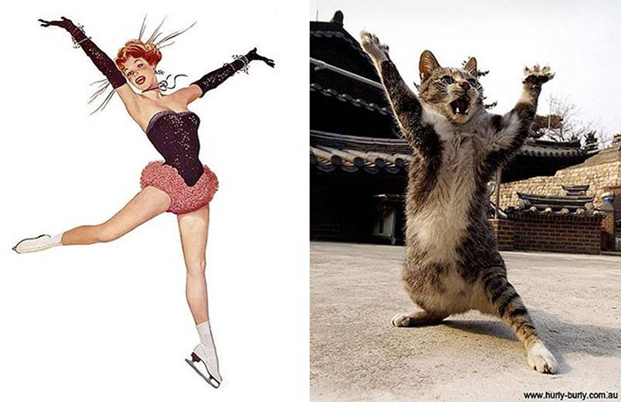 48 Cats Posing Like Pin Up Girls