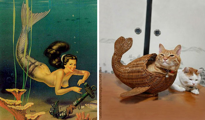 48 Cats Posing Like Pin Up Girls