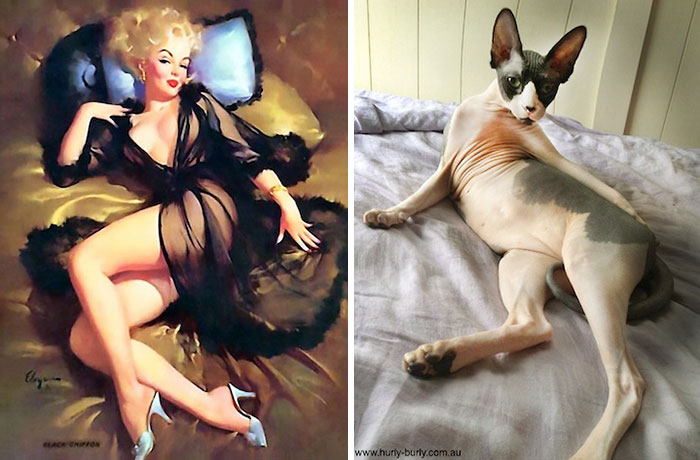 48 Cats Posing Like Pin Up Girls