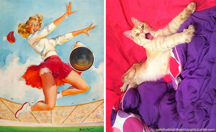 48 Cats Posing Like Pin Up Girls