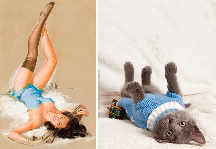 48 Cats Posing Like Pin Up Girls
