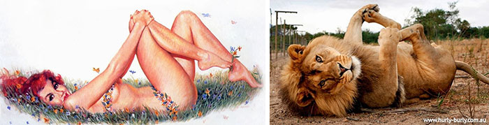 48 Cats Posing Like Pin Up Girls