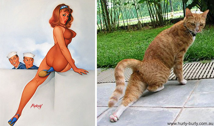 48 Cats Posing Like Pin Up Girls