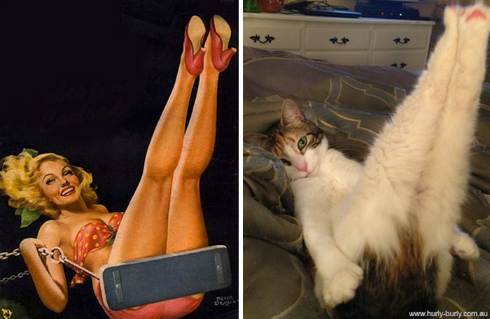 48 Cats Posing Like Pin Up Girls