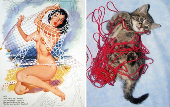 48 Cats Posing Like Pin Up Girls