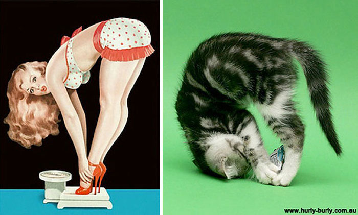 48 Cats Posing Like Pin Up Girls