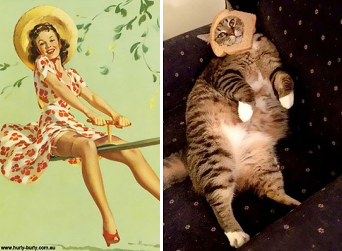 48 Cats Posing Like Pin Up Girls
