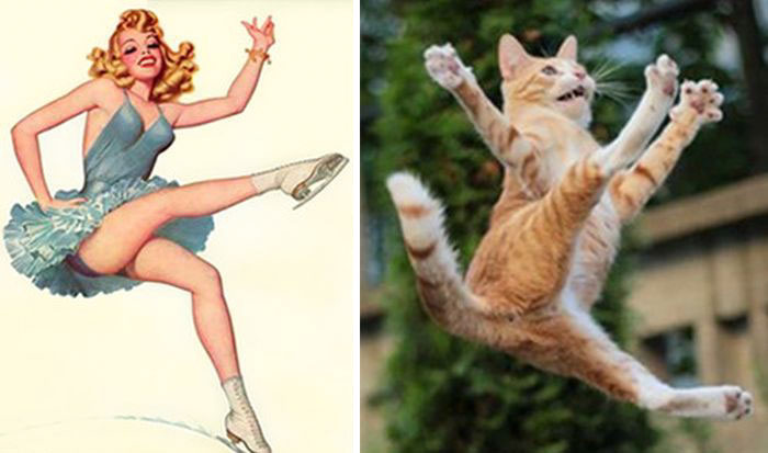 48 Cats Posing Like Pin Up Girls