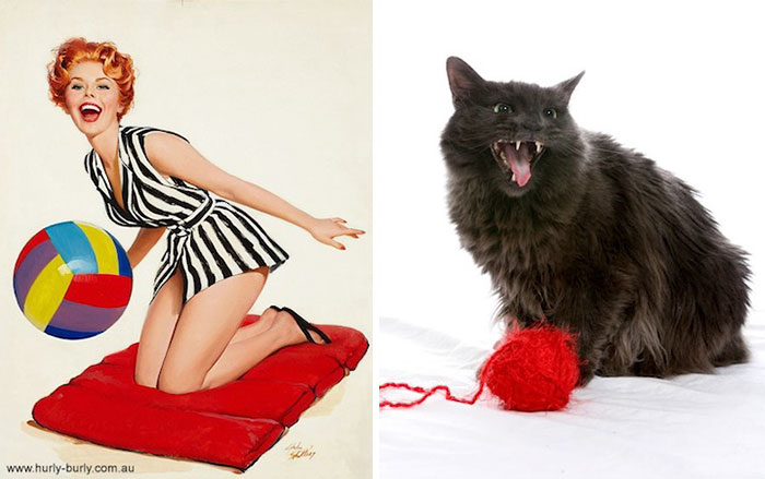 48 Cats Posing Like Pin Up Girls
